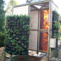 cambridge-kasvit-ja-aurinkokennot-shkn-tuottajina.jpg