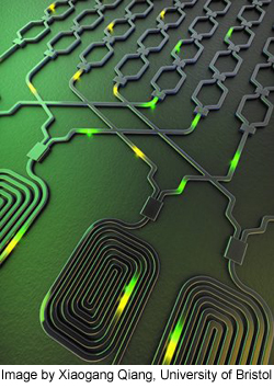 Queensland-Sci-Quantum-Chip-250-t.jpg
