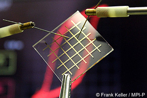 Max-Planck-nylon-ferrosahko-300-t.jpg