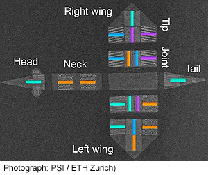 ETH-PSI-nanomagneetilla-ohjelmoitavia-muodonmuutoksia-300-t.jpg