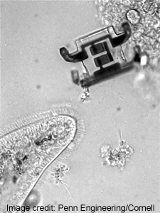 Cornell-mikroskooppisia-robotteja-2-225-t.jpg