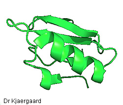 ORNL-Protein_folding-white-R-250-t.jpg