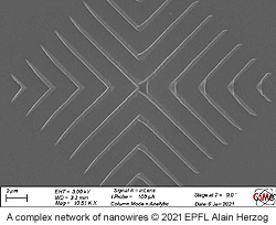 Rice-nanoskaalan-hiloja-3D-EPFL-nanolangat-250-t.jpg