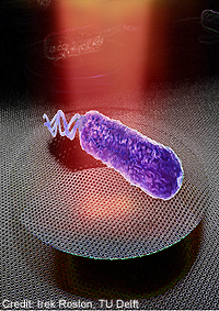 Delft-bakteerit-rummuttavat-200-t.jpg