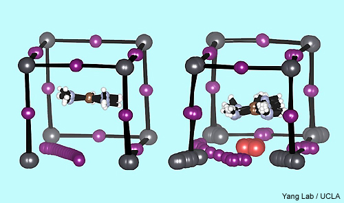 UCLA-Standard-and-enhanced-perovskite-molecules-500-t.jpg