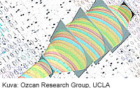 AMOLF-matematiikkaa-valolla-UCLA-200-t.jpg