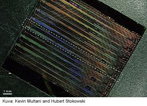 Stanford-tehokas-laser-mikrokampa-litiumdiobaatilla-300-t.jpg